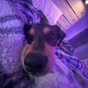 Meet your Posher, Hayden